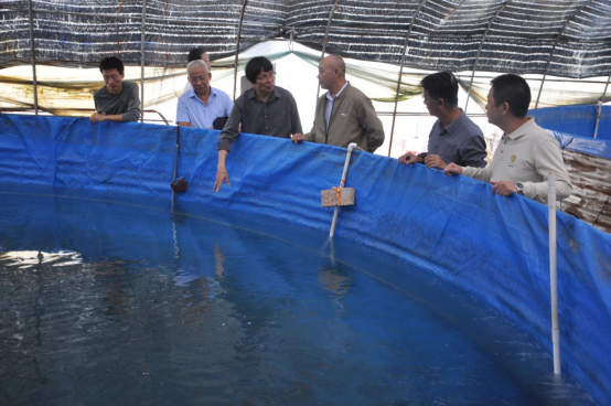 1762219482432351.png image.png