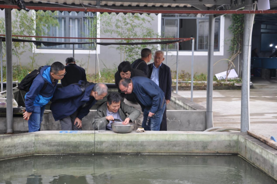 1762219968128259.png image.png