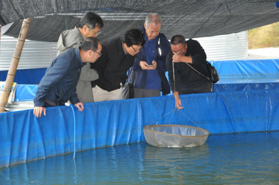 1762219975741442.png image.png