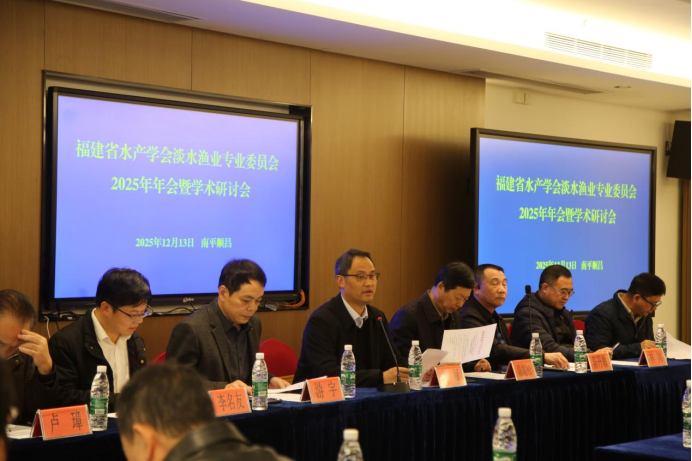 1766032185828128.png image.png